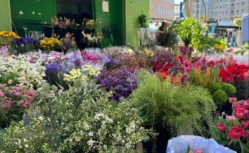 Floristería Manoli Hidalgo ( puesto verde)