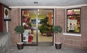 Floristería Madreselva