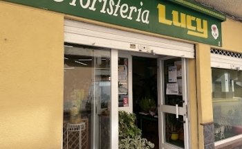 Floristeria Lucy Aguilas