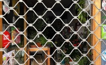 Iraia loradenda Floristería