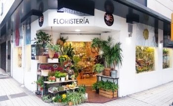 El Jardín de Sabugo