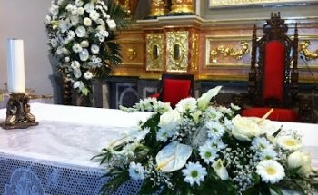 Floristería Magnolia