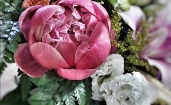 A tenda D'Fiuza / Astilve Floristeria