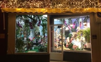 Floristería Patricia