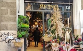 AMAZONICA de GISELAFLORS