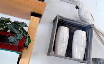 Floristería ORCHIDEA