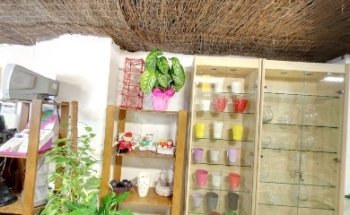 Ceres Floristas Malvarrosa