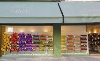 Mon Parnasse Flores - Conde de Casal