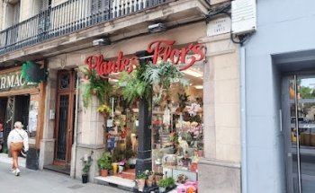 Floristeria Lloveras Barceló