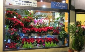 Floristería Mayoflor