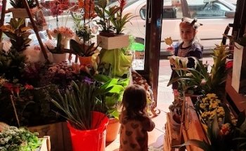 Floristeria De Paula