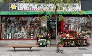 Floristeria 21 De Marzo