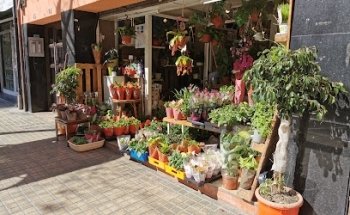 Floristeria Deltaquari