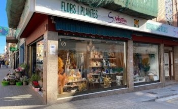 ???????????????????????????????????????????? ???????????????????????????????? - S Ventura