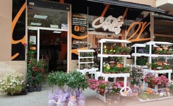 Floristería Calaflors