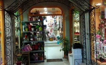 Floraría Agasallos Arcos