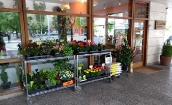 Floristería El Jardín