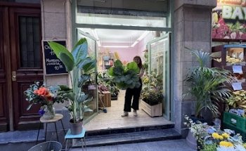 La florida / El club de las plantas