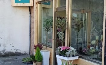 Emma Lezcano floristas