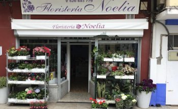Floristería Noelia