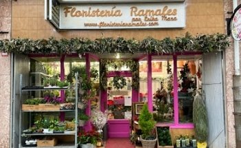 Floristeria Ramales Por Erika Maza