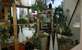 Floristería Bapalo Garden Montijo