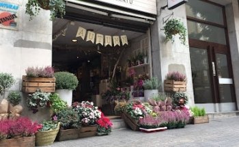 florestore floristería