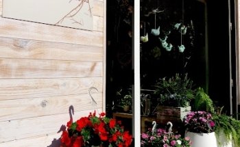 Floristeria Bluebell Tona