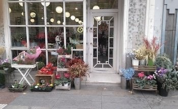 Floristería Camelia