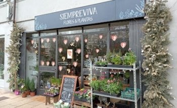 Siempreviva flores y plantas