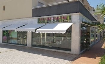 FLORISTERIA FLORYSEM