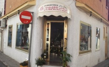 Floristeria Mejorada