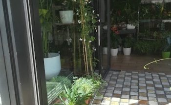 Floristería Los Madriles