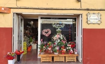 FLORISTERIA PELEGRINA