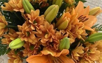 Floristería Trébol