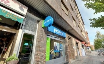 Joycar El Atelier de las flores