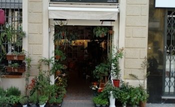 Floristeria Ezquerra