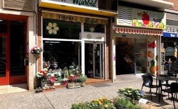 Flores Marbid