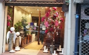 Floristería Begonia