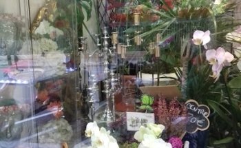 LUCÀ - CRAYWINCKEL FLORS