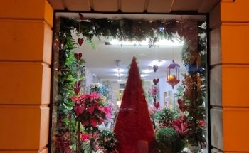 Floristería Goilore