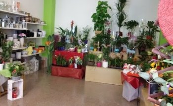 Floristería Agulló
