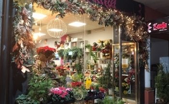 Floristería Kentia