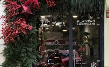 Cónica Studio - Tienda de Plantas preservadas en Madrid