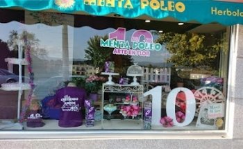 Menta Poleo Arte en Flor