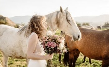Floristeria Gracia y La Penca Almeria