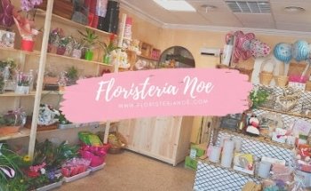 Floristeria Noe