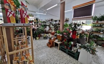 Floristeria Civiflor