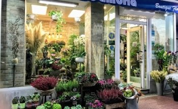 Floristería Cambria - Chamberí