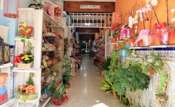 Floristeria Juan Antonio
